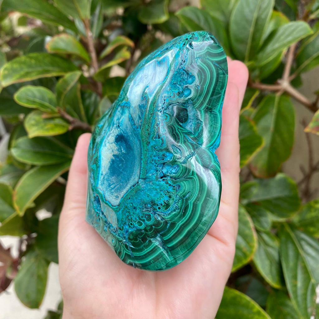 Chrysocolla Freeform #1