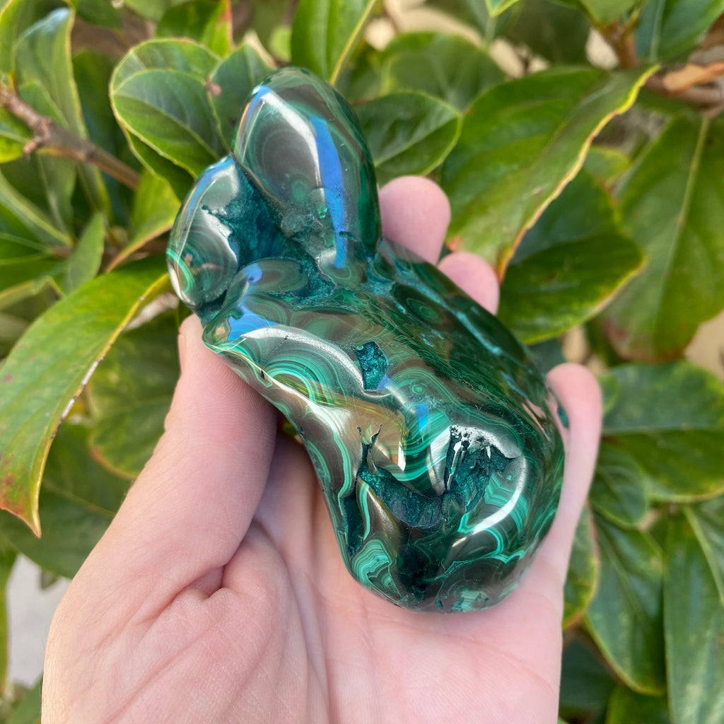 Large Malachite Freeform (460g)