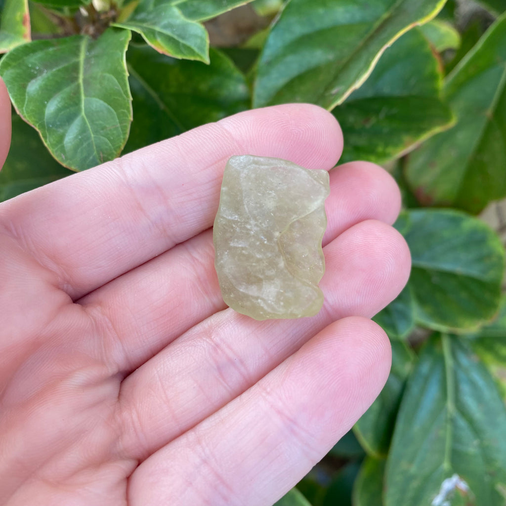 Libyan Desert Glass 8.5g