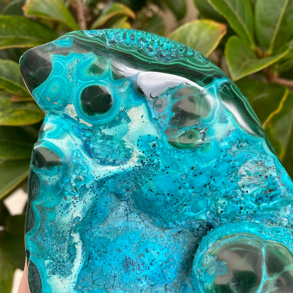 Chrysocolla Freeform #1