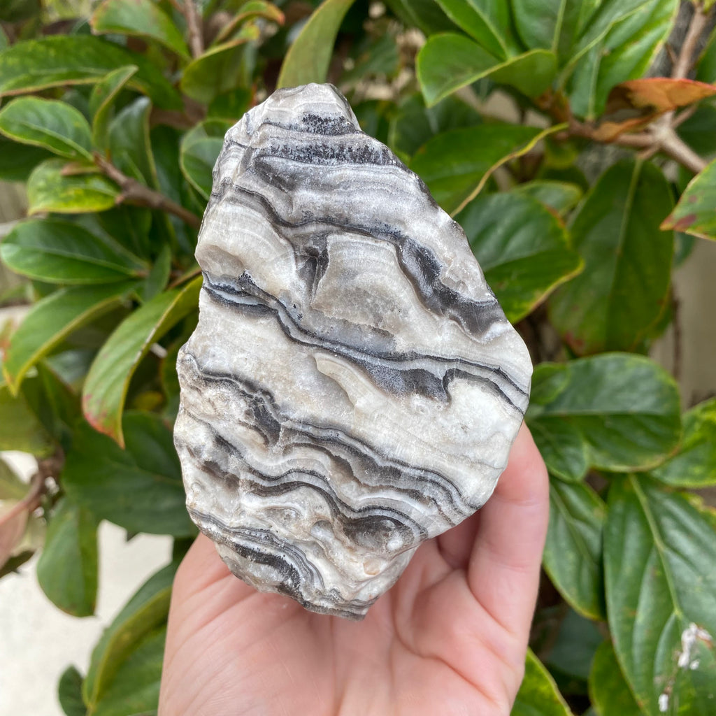 Zebra Striped Calcite