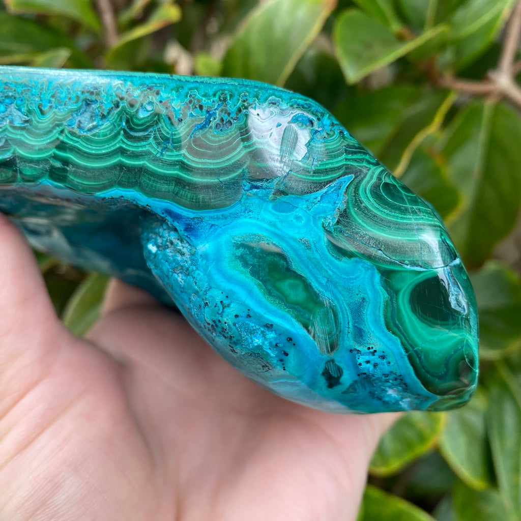 Chrysocolla Freeform #1