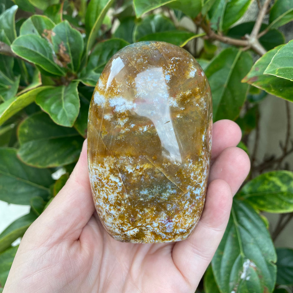 Ocean Jasper