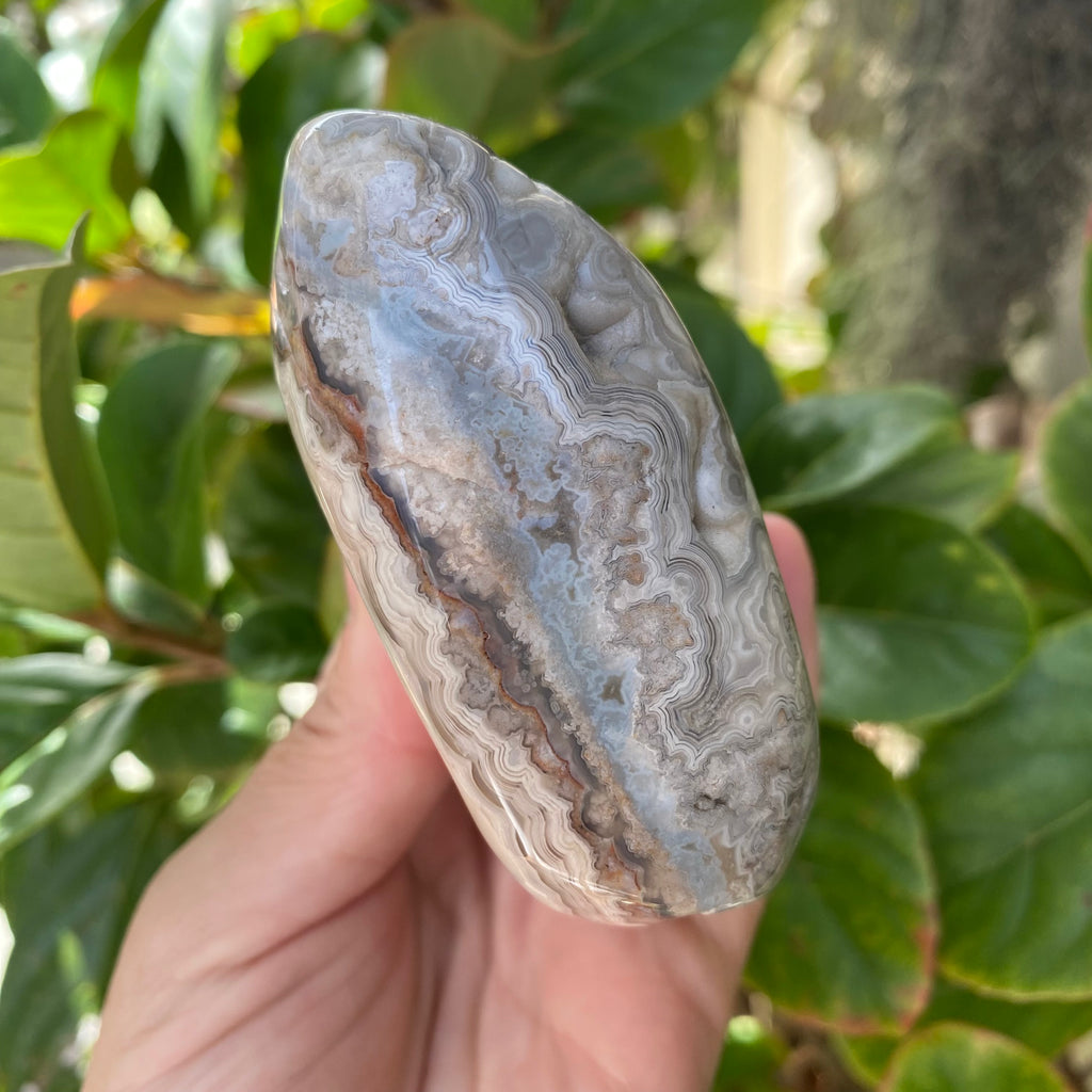 Crazy Lace Agate