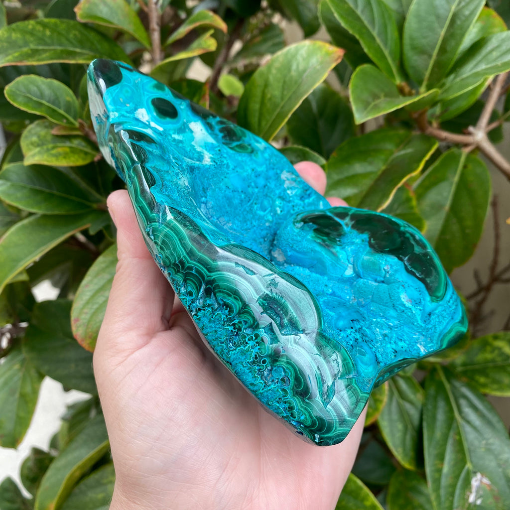 Chrysocolla Freeform #1