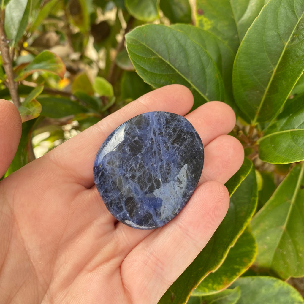 Sodalite Palm Stone