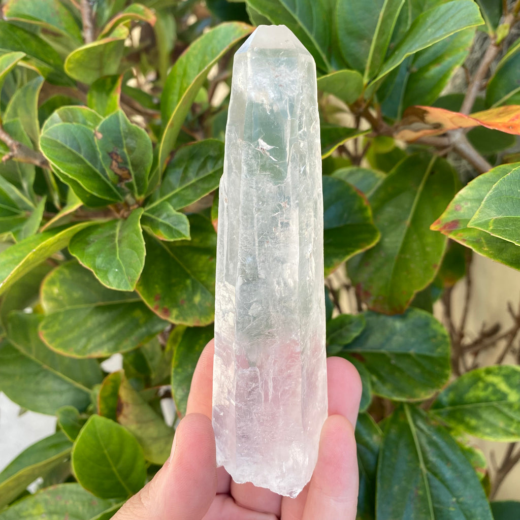 Lemurian Clear Quartz