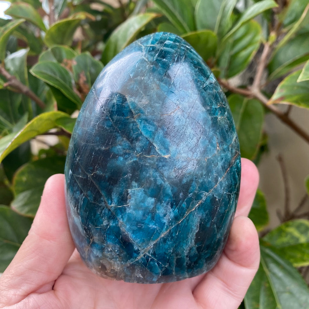 Apatite Freeform