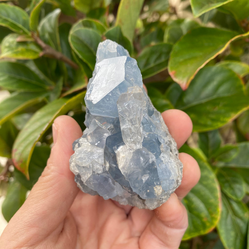 Celestite Cluster Geode