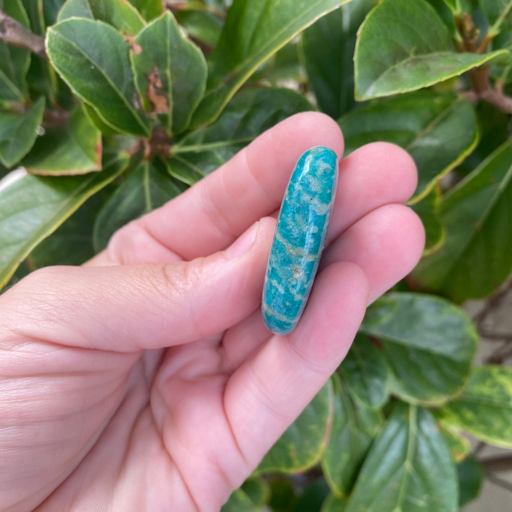 Amazonite Palm Stone