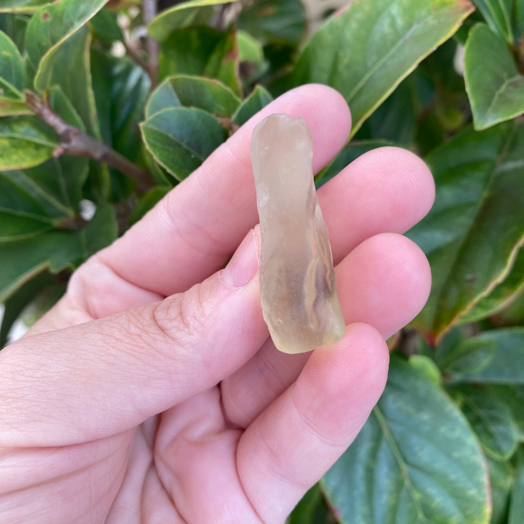 Libyan Desert Glass 13.5g