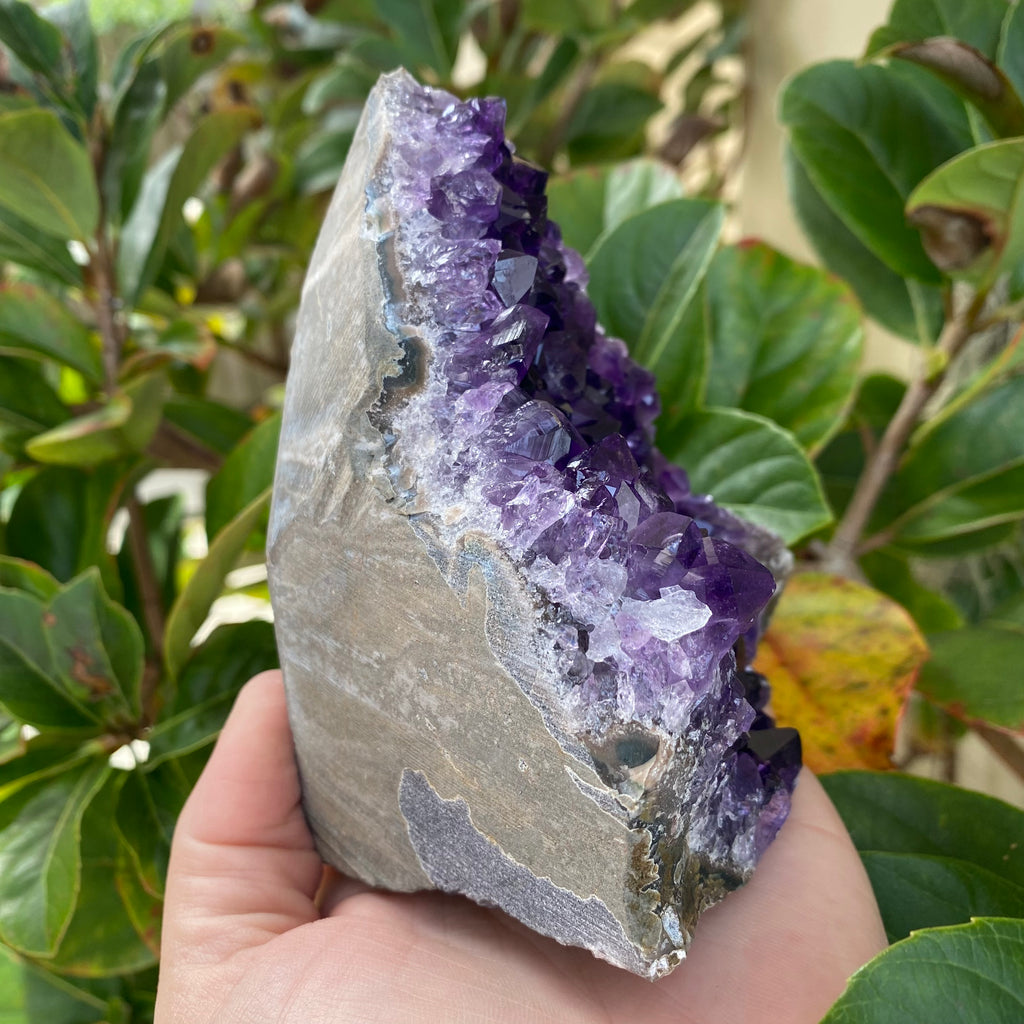 Amethyst with Cut Base (5)