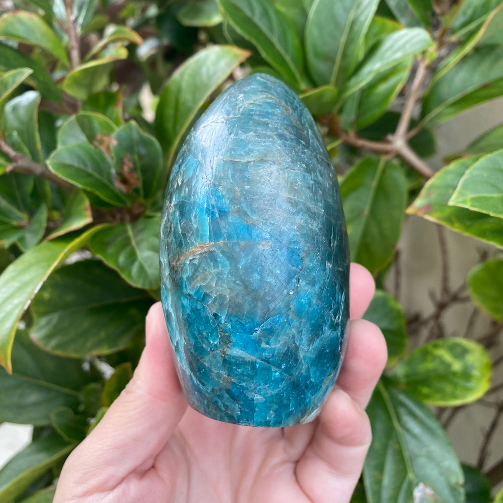 Apatite Freeform