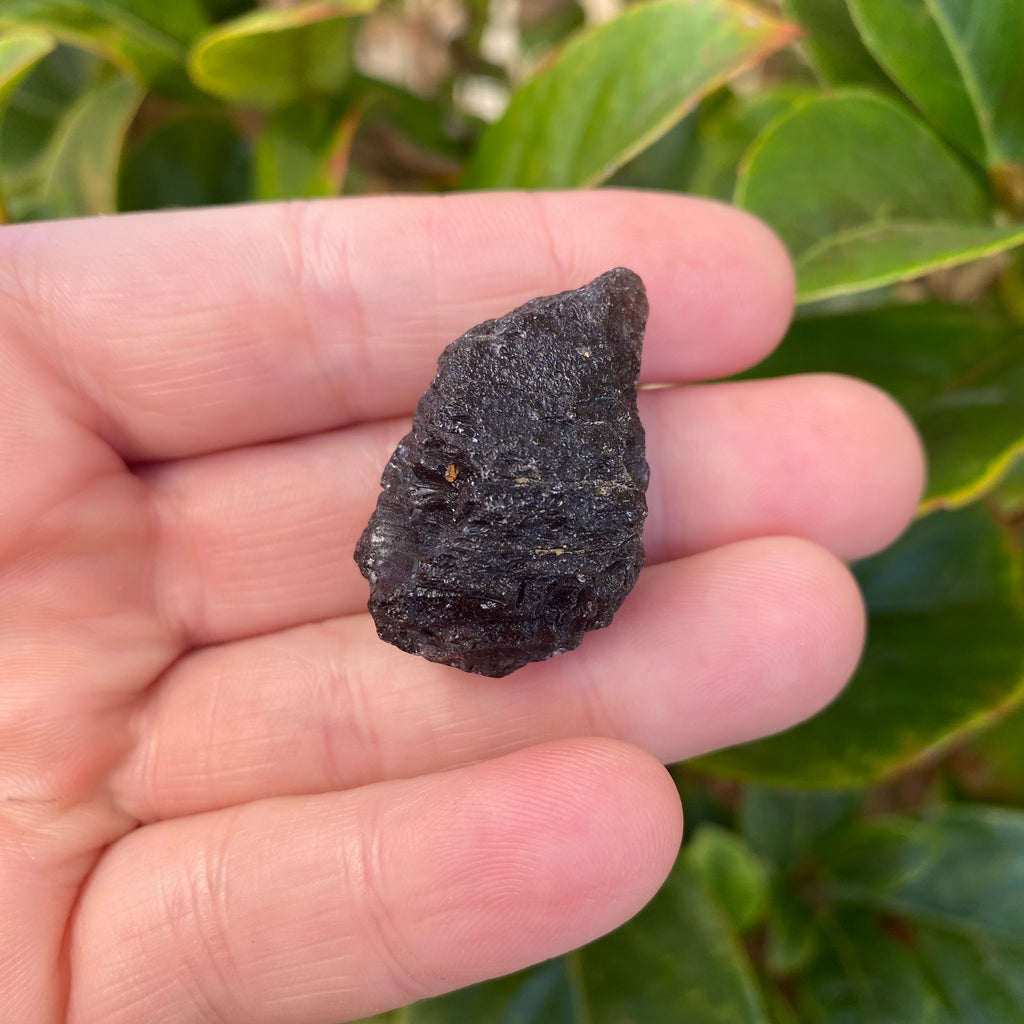 Agni Manitite 14g