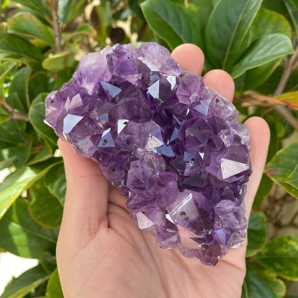 Amethyst Cluster 405g