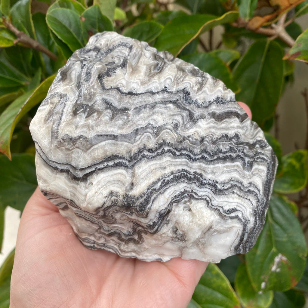 Zebra Striped Calcite