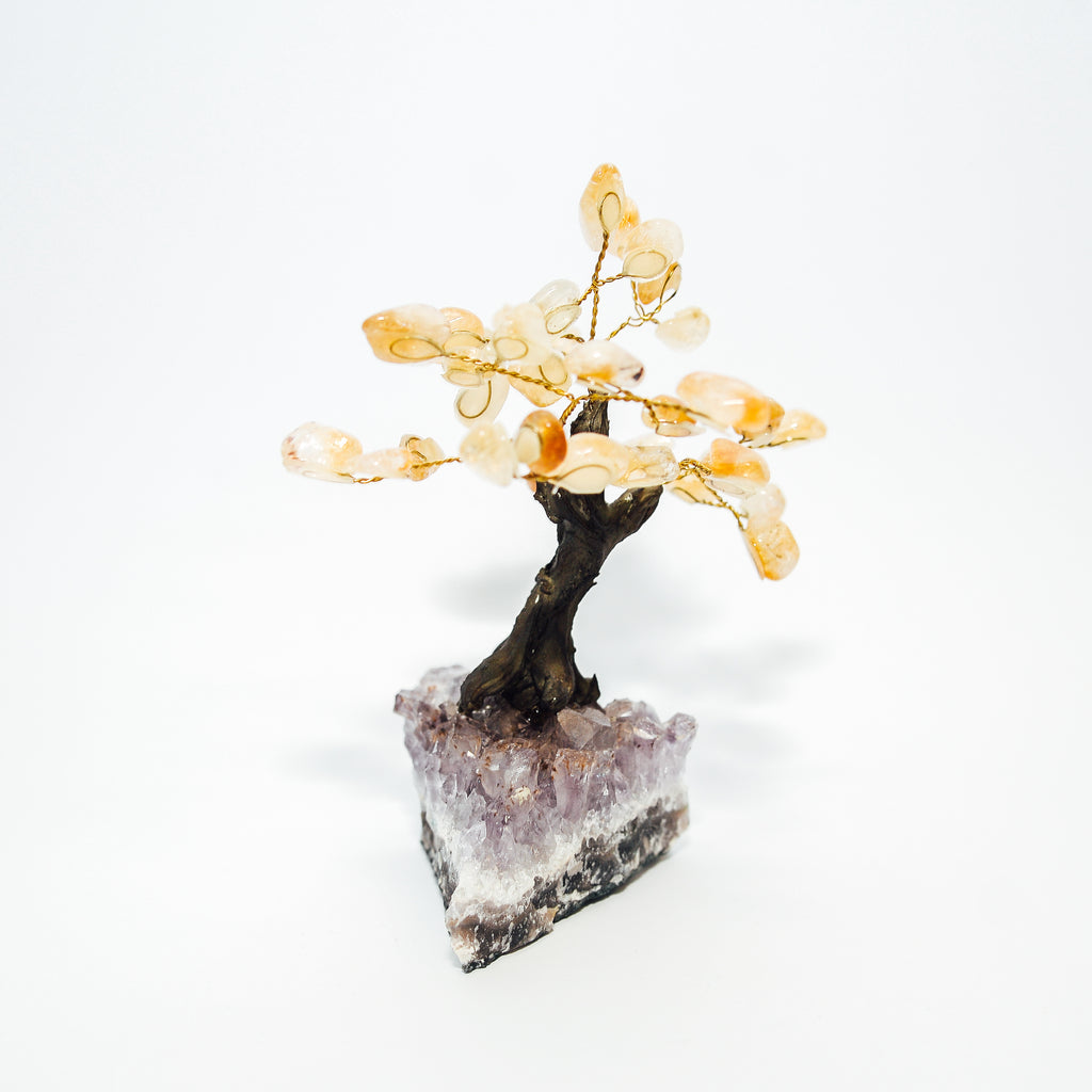 Citrine Tree on Amethyst Base