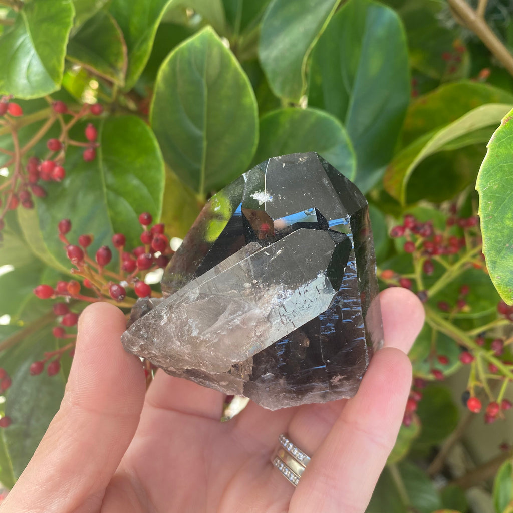 Smoky Quartz Cluster (180 grams)