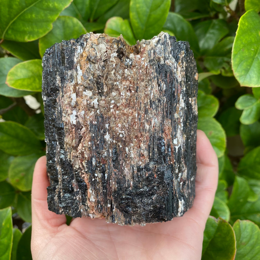 Black Tourmaline With Mica