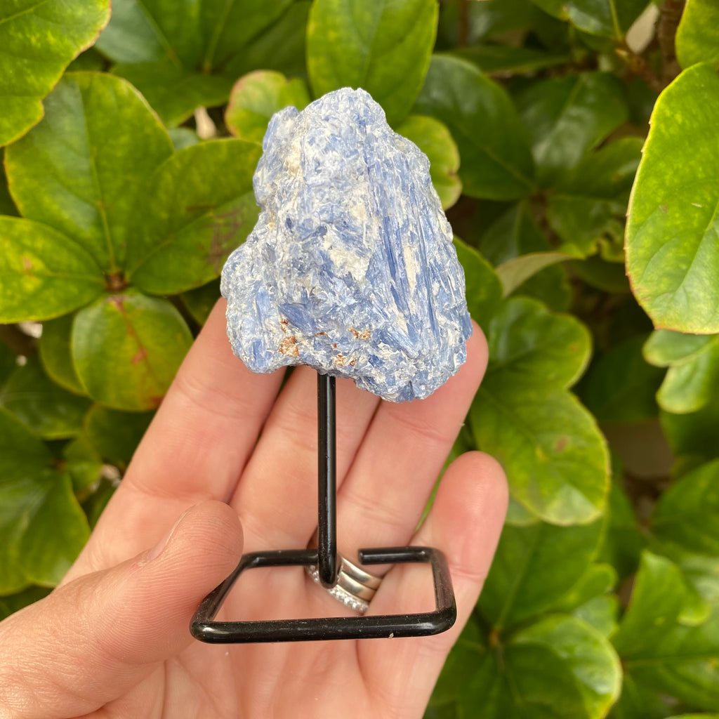 Blue Kyanite on Metal Base