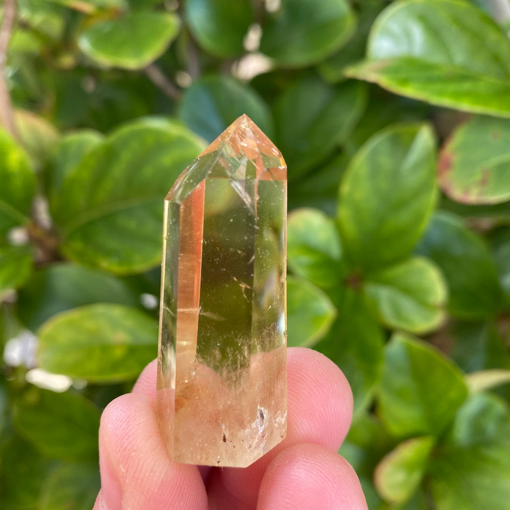 Citrine Generator