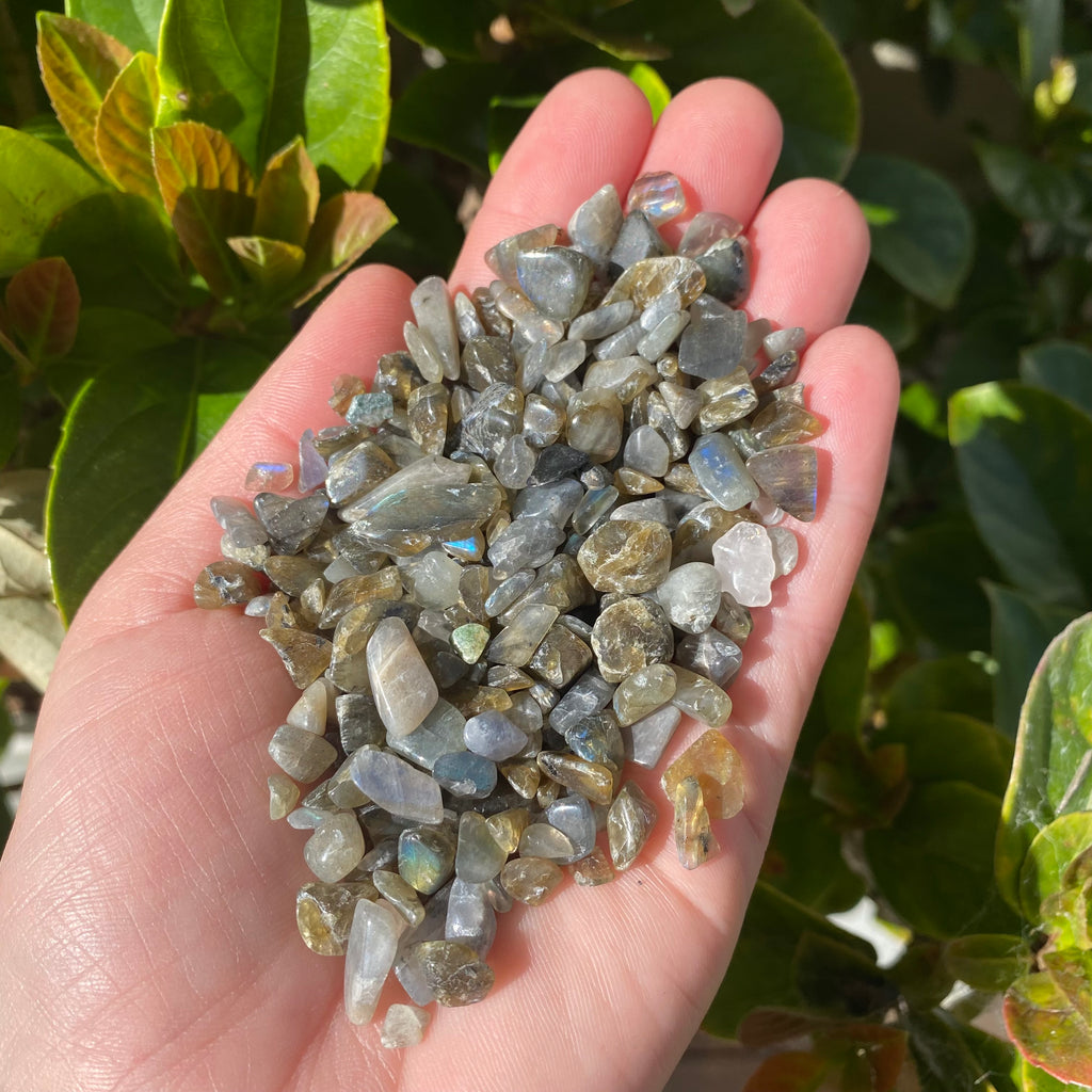 Labradorite Chips