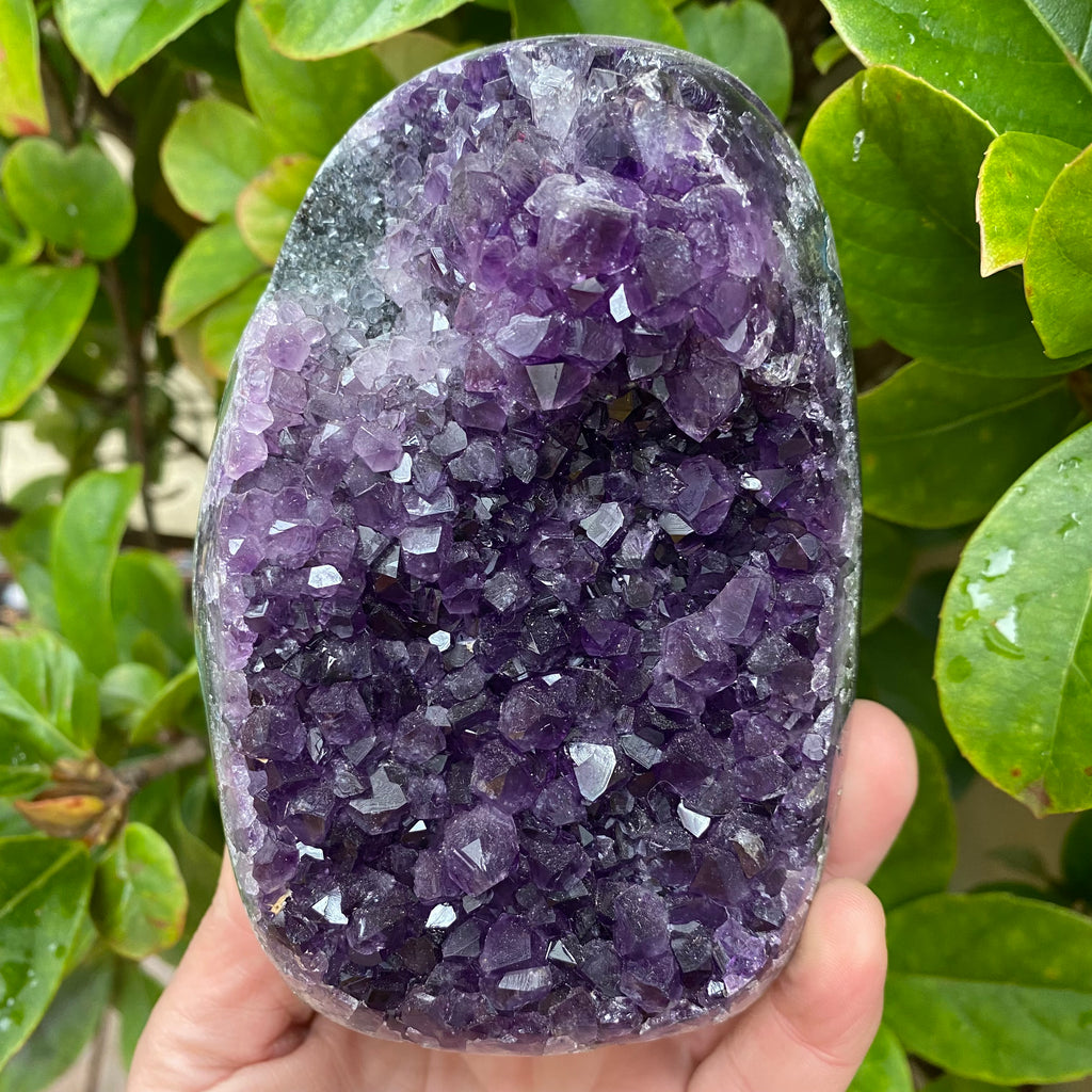 Extra Grade Amethyst with Polished Edge