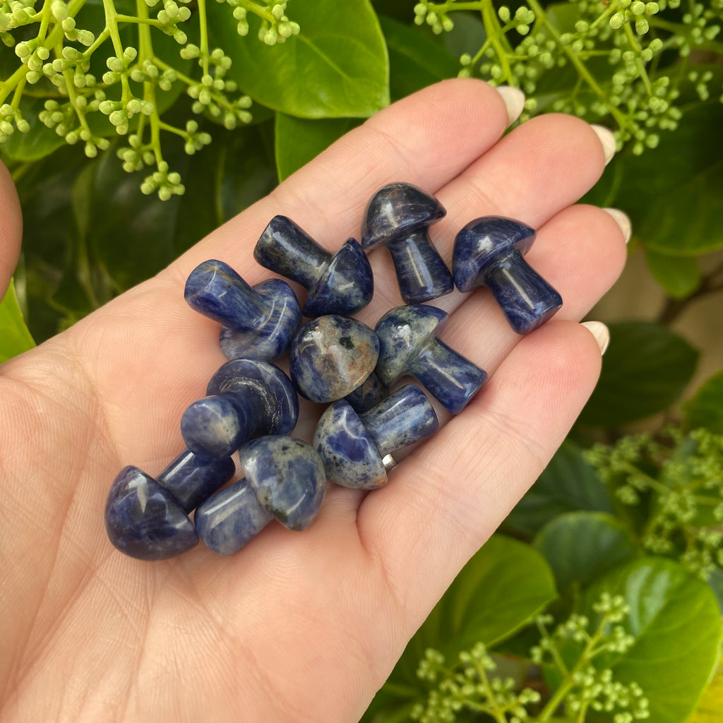 Mushroom - Sodalite