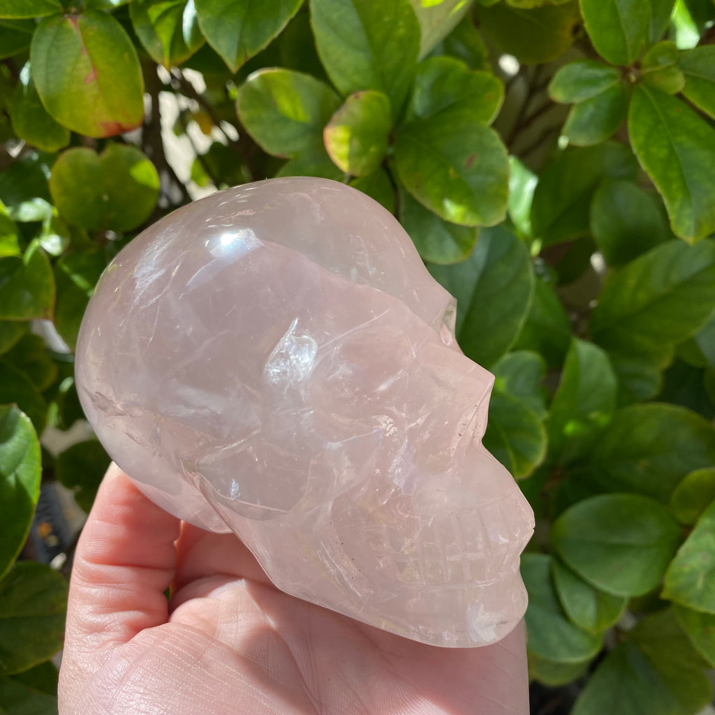 Rose Quartz Skull