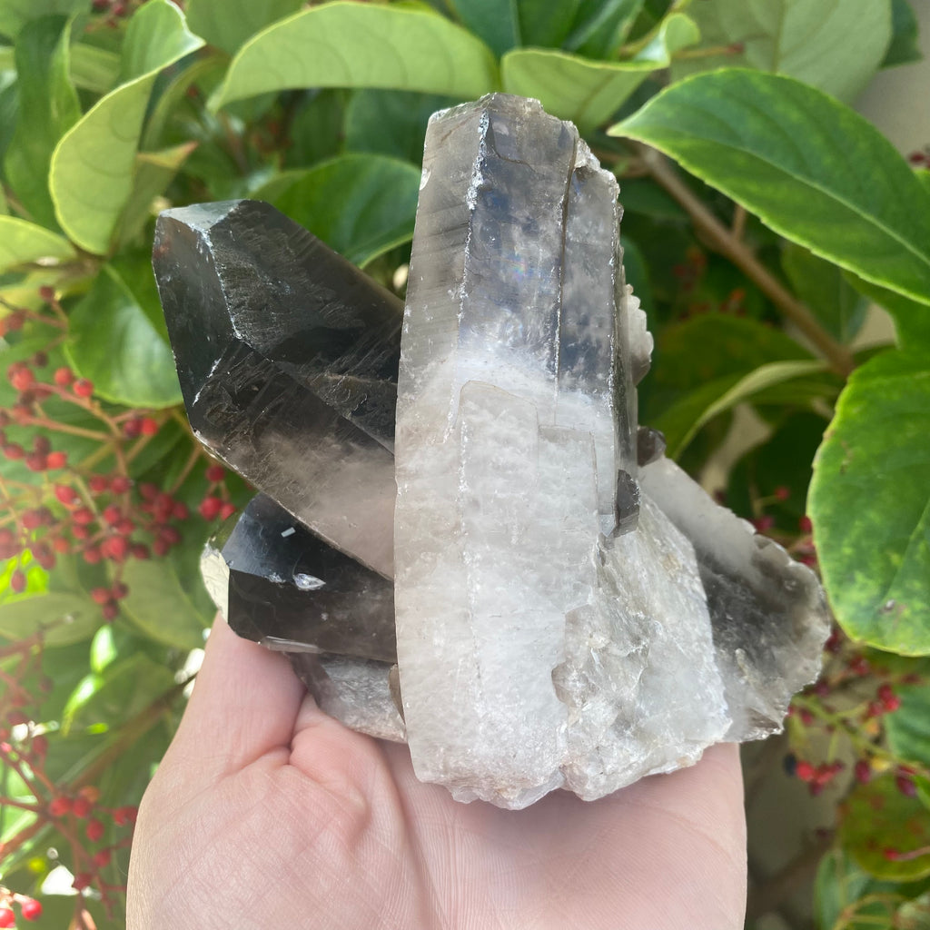 Large Smoky Quartz Cluster (570g)