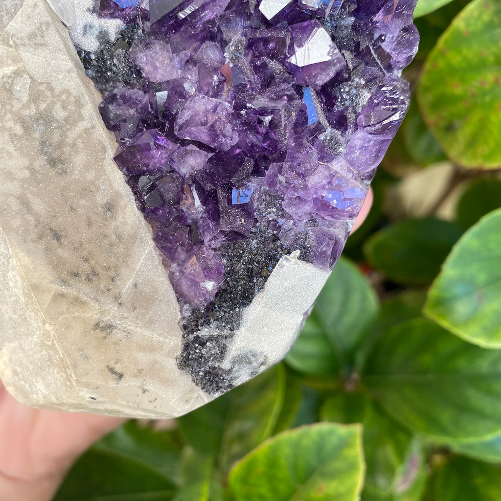 Amethyst Specimen