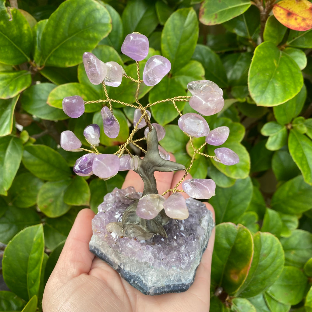 Amethyst Tree on Amethyst Base