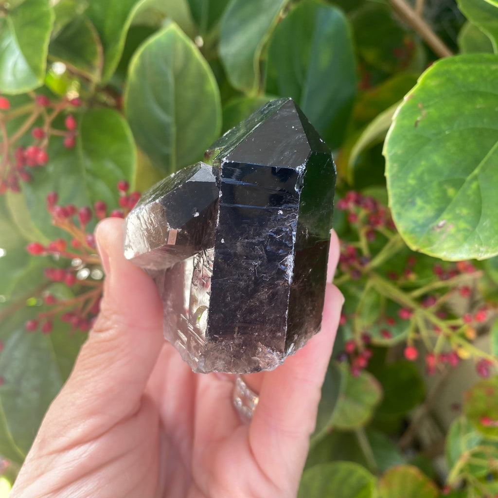 Smoky Quartz Cluster (180 grams)