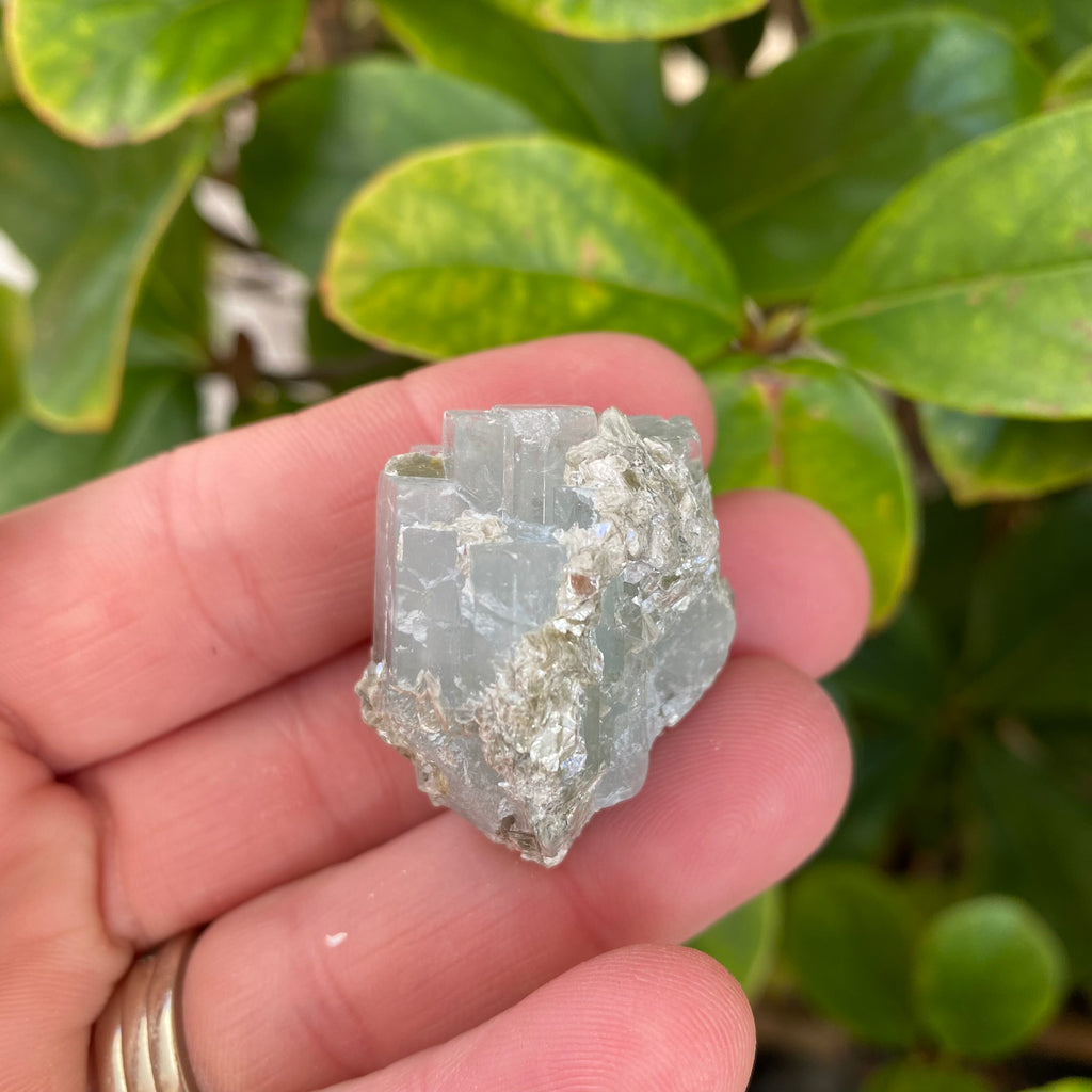 Aquamarine Muscovite