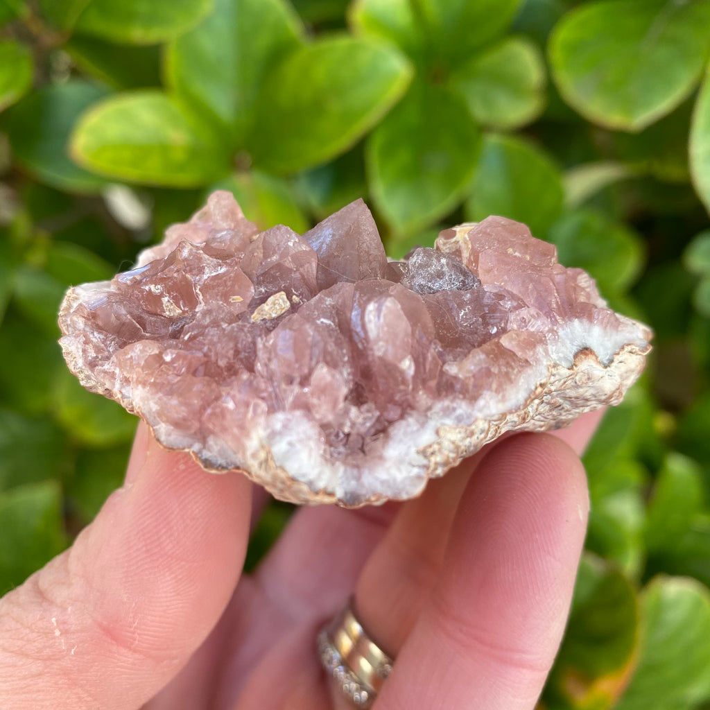 Rare Pink Amethyst