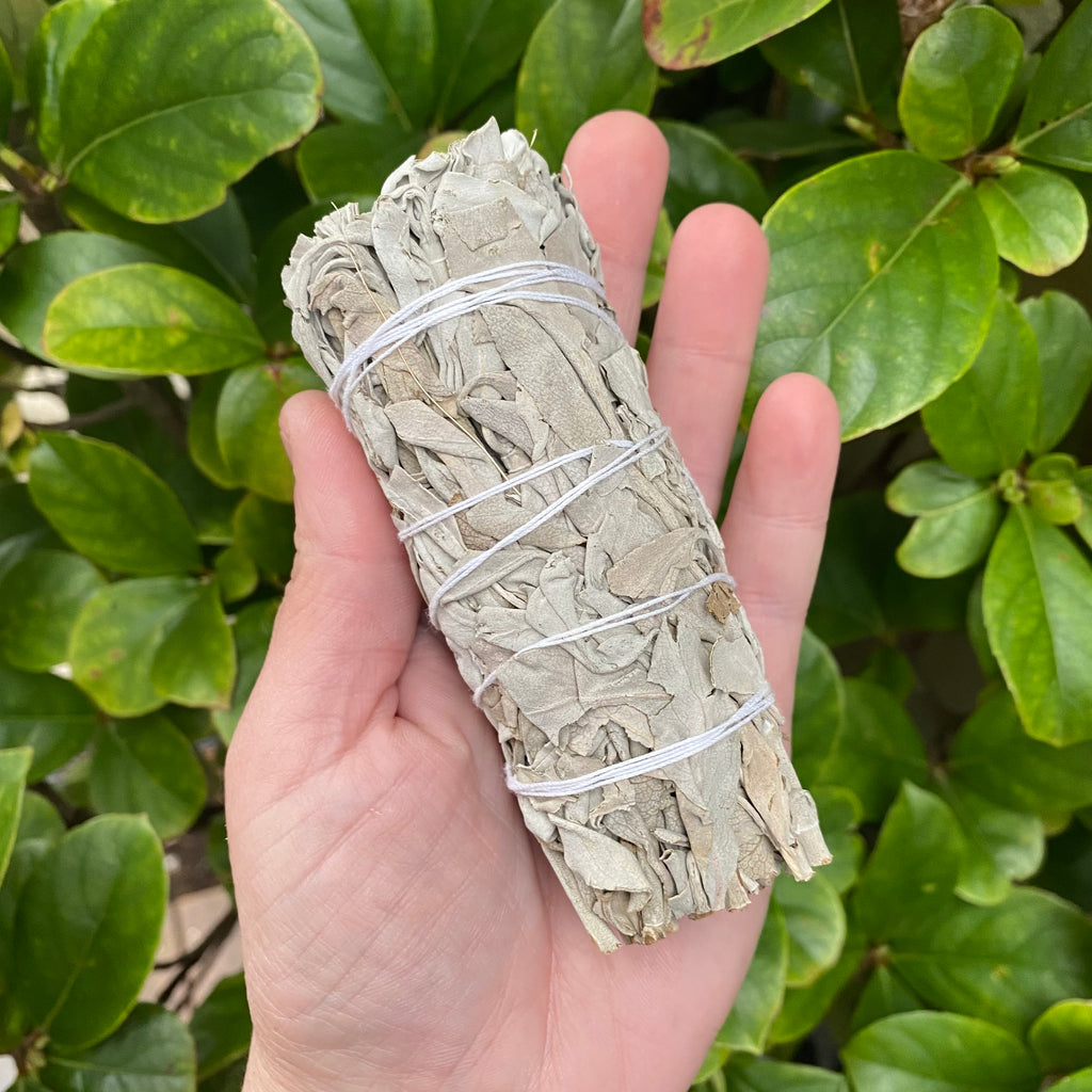 White Sage Smudge Stick