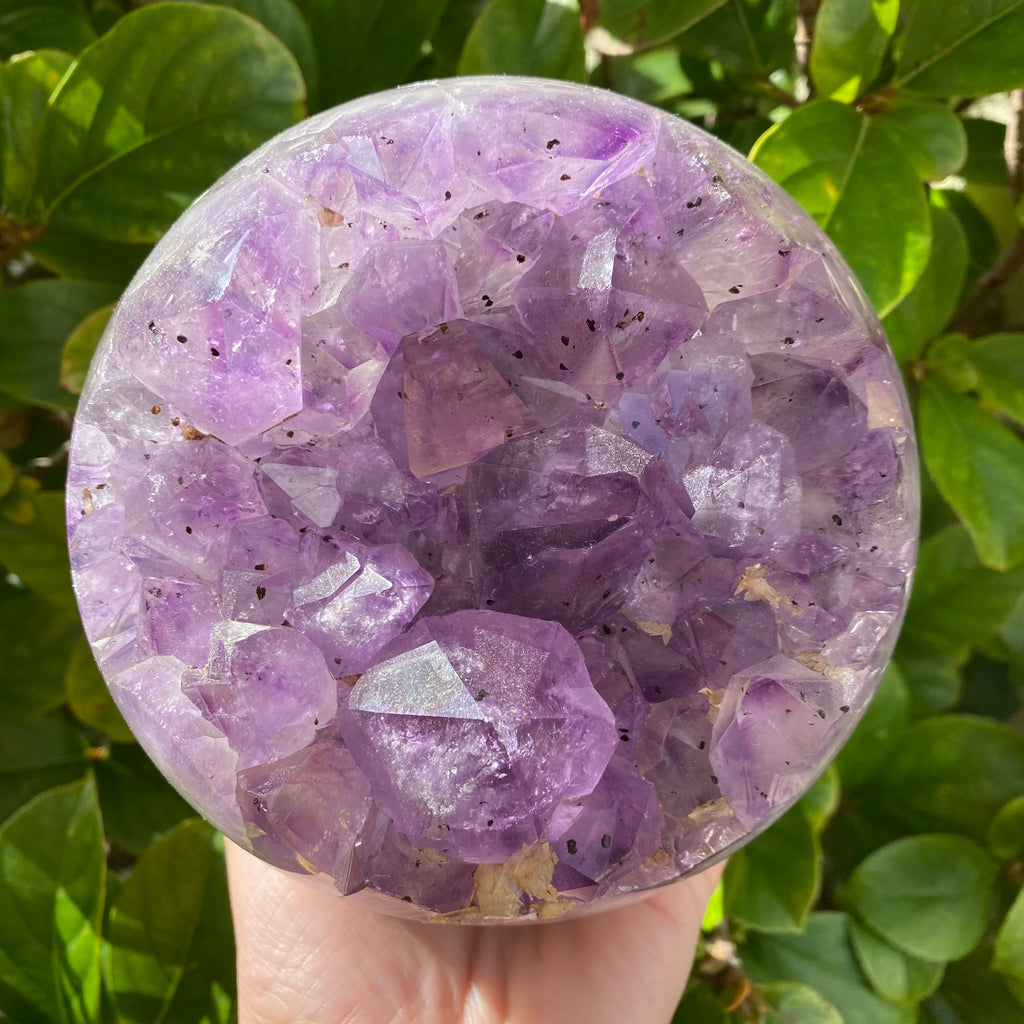 Large Amethyst Druze Sphere