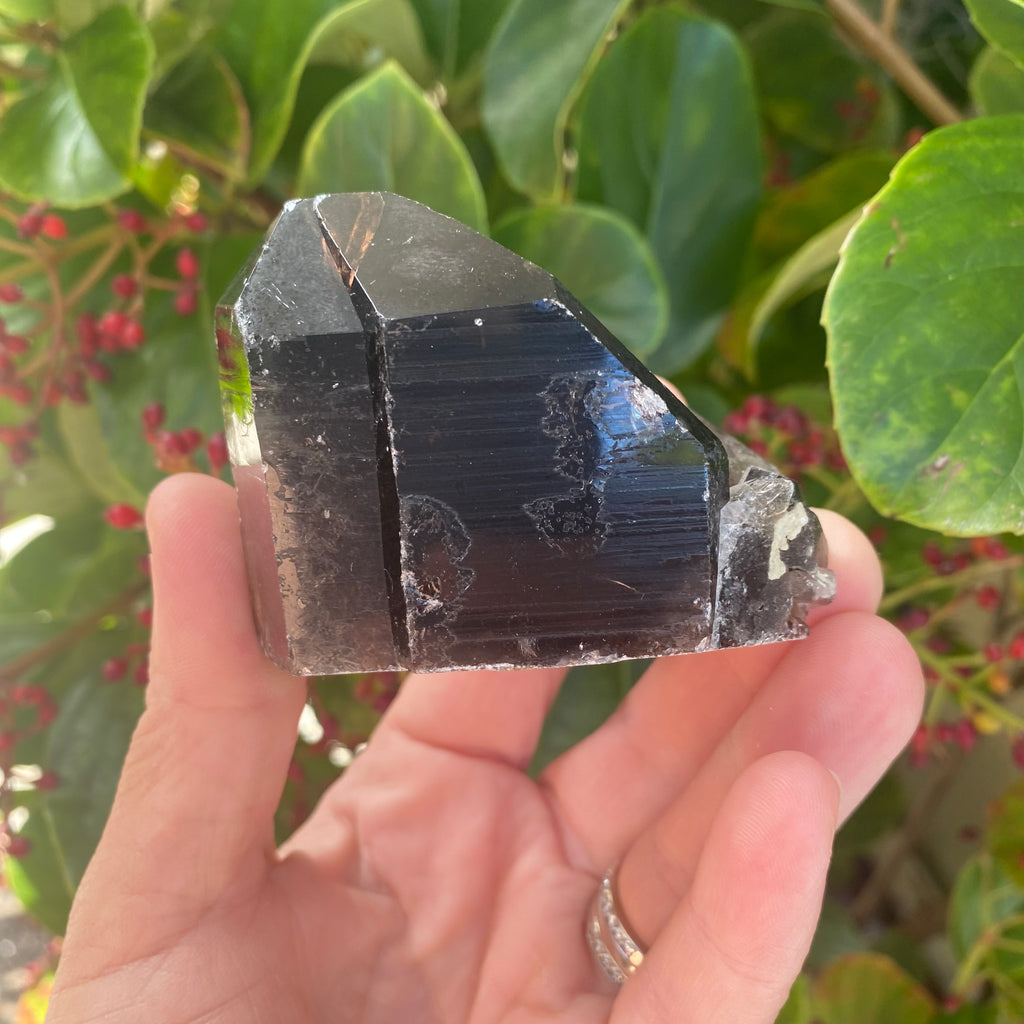 Smoky Quartz Cluster (180 grams)