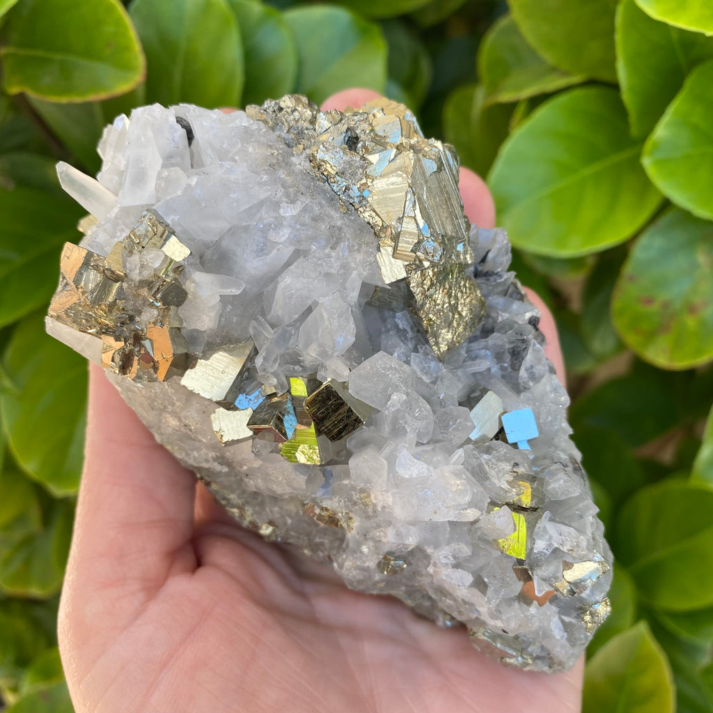 Pyrite with Quartz