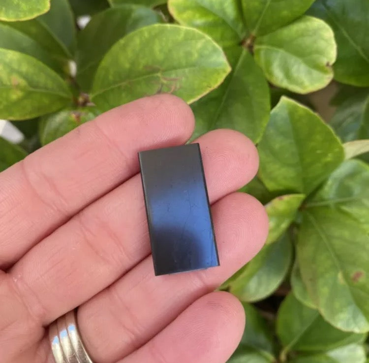 Shungite Phone Chip 30mm