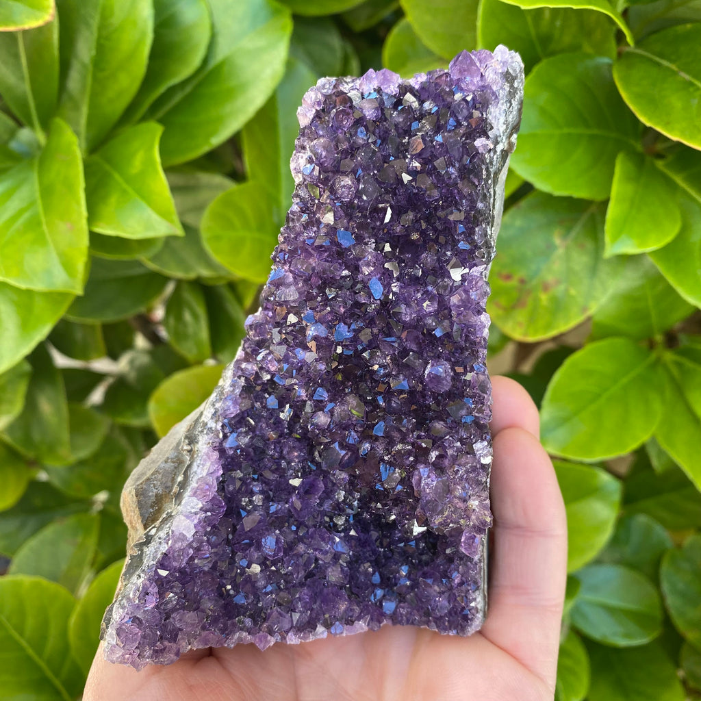 Very High Grade Amethyst Cluster (402 Grams)