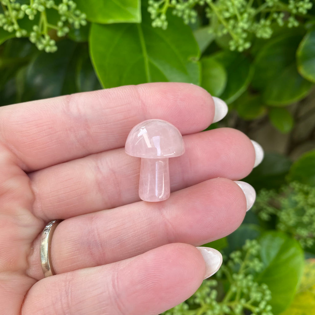 Mushroom - Rose Quartz