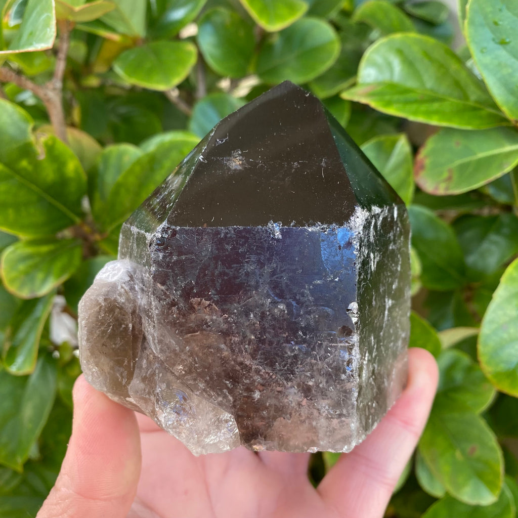 Large Smoky Quartz Generator