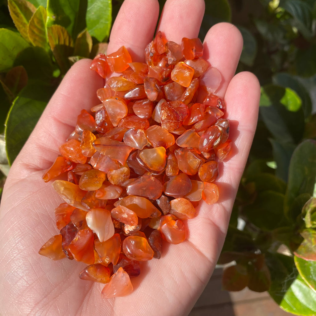 Carnelian Chips