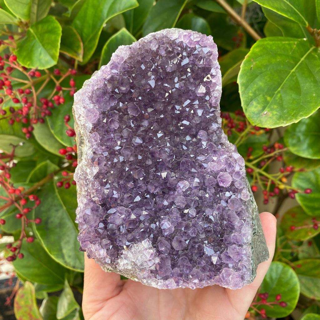 Amethyst with Cut Base (11)