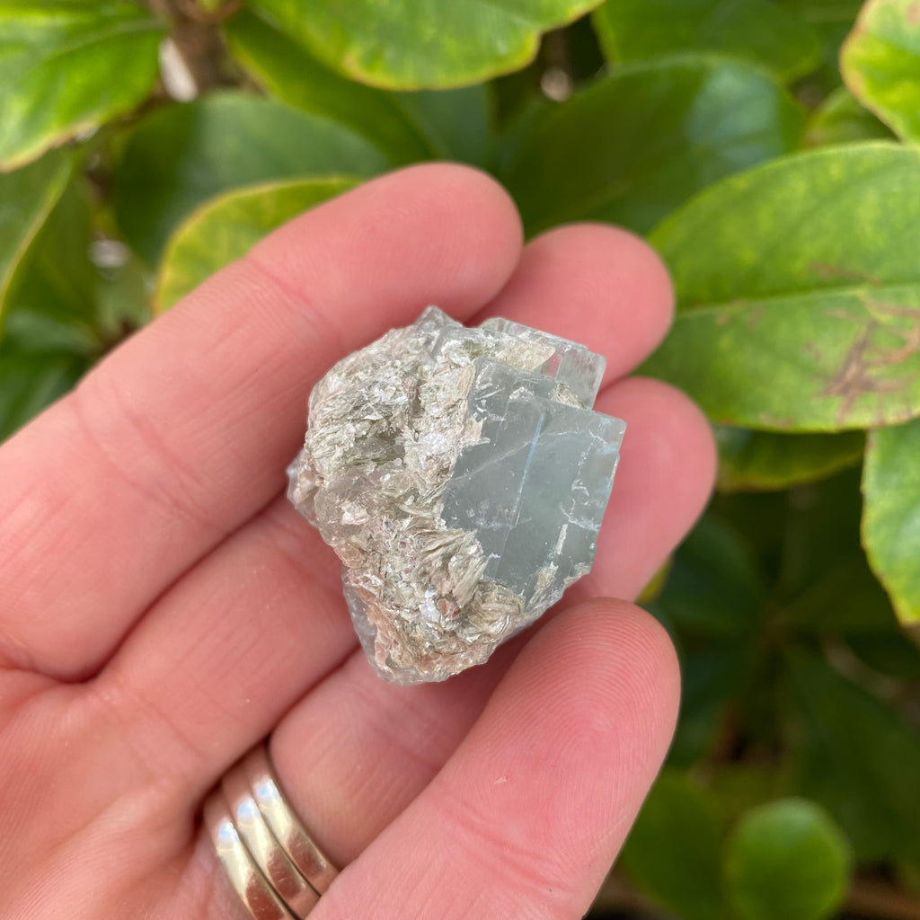 Aquamarine Muscovite