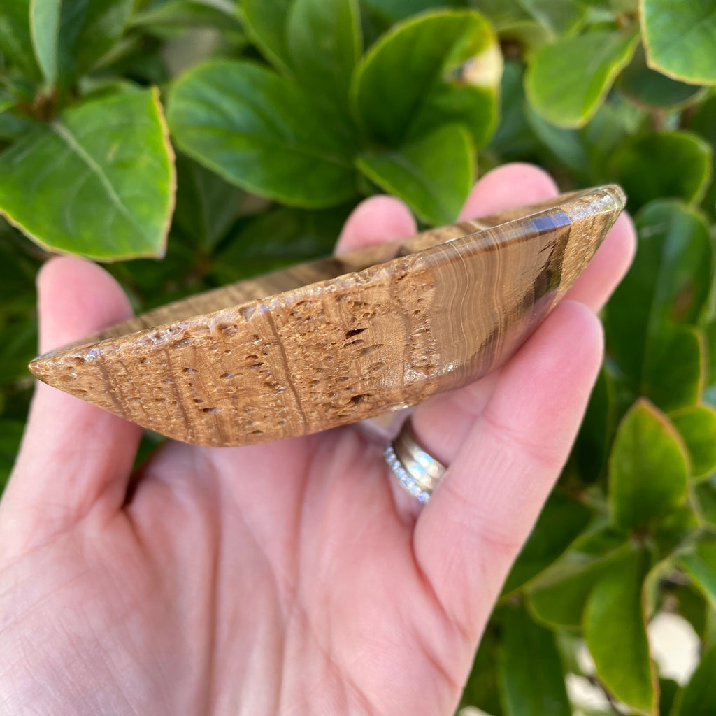 Brown Aragonite Heart Bowl