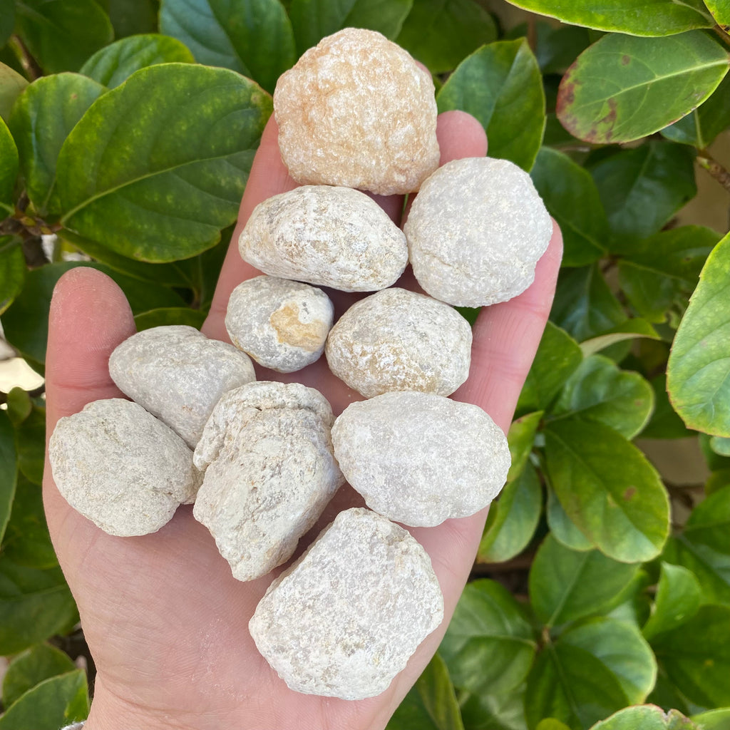 Small Quartz Geodes x 10