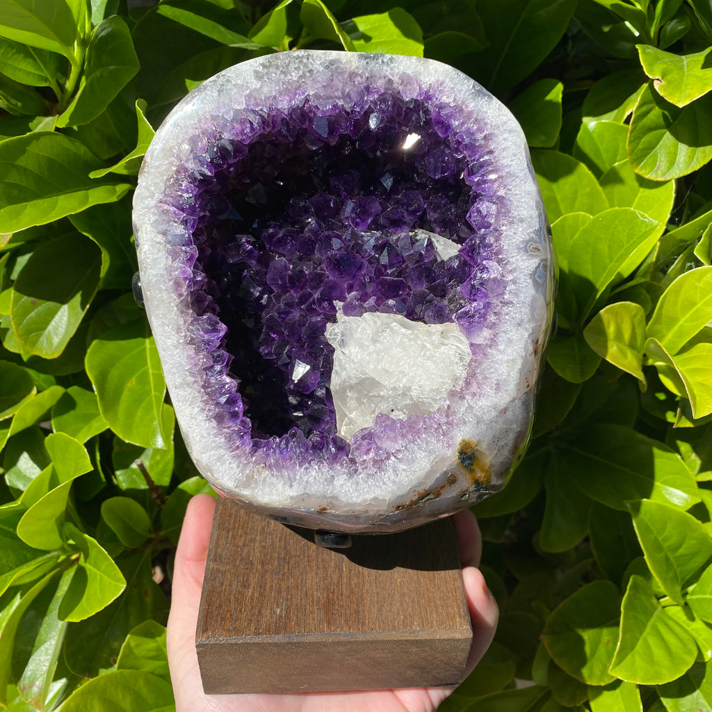 Extra Quality Amethyst Geode w Polished edges