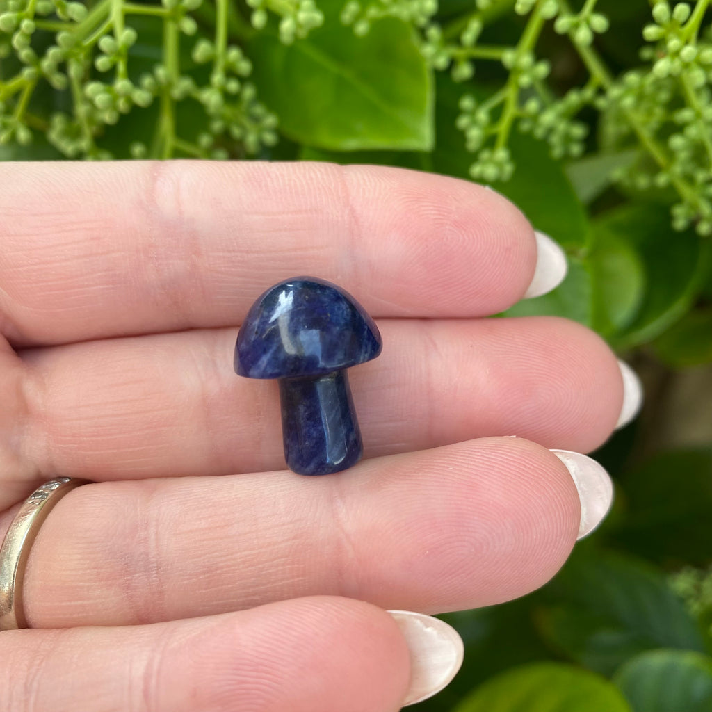 Mushroom - Sodalite